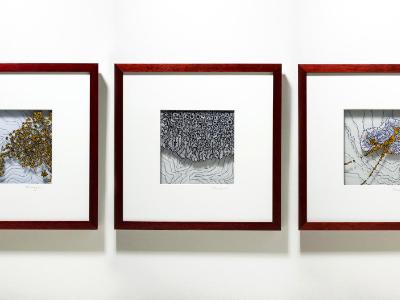 As triptych (L to R: Stanza 607, Stanza 833, Stanza 11) 